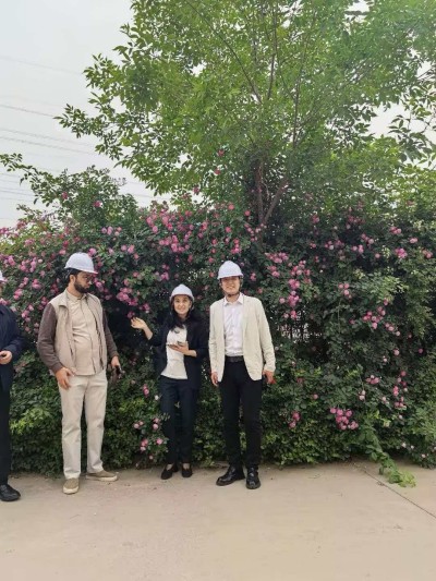 乌兹别克斯坦房地产公司客人
